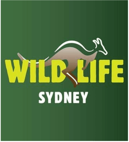 Bold green font reads Wild Life. In between the words, there is a cartoon kangaroo that is brown with a white head.