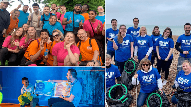 Collage of group photos of SEA LIFE employees volunteering outside. There is one image of an employee holding a book next to a child indoors in front of an aquarium.