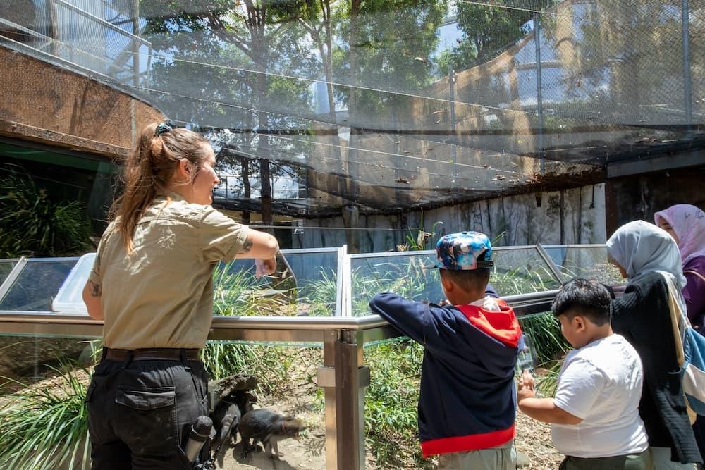 Women in beige zoo uniform is outside of an animal enclosure with her hands on the glass railing. To her left there are four people of different ages looking into the enclosure.