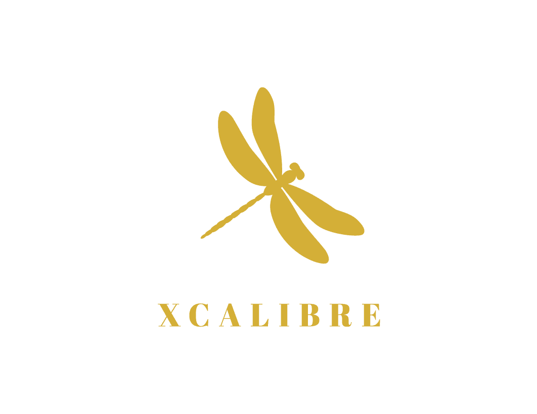 The logo features a golden dragon fly with golden text underneath. The gold text reads XCALIBRE.