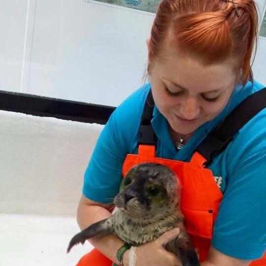 Women in blue SEA LIFE branded polo shirt and orange hi-visibility overalls is holding a baby seal in her arms.