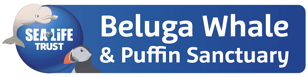 Blue circle houses the SEA LIFE TRUST logo surrounded by a cartoon whale and puffin. To the right, white text reads Beluga Whale & Puffin Sanctuary.